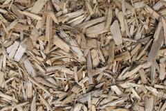 biomass boilers Golynos